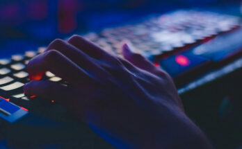 Foto: Soumil Kumar/pexels.com