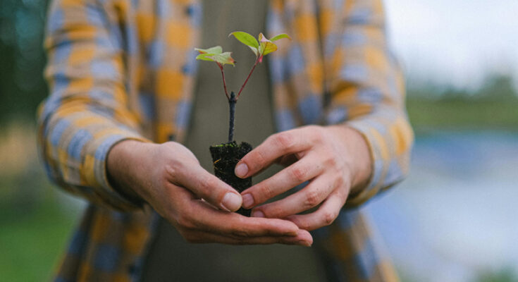 Foto: Anna Shvets/pexels.com