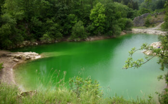 Foto: C.Mezzo-1
