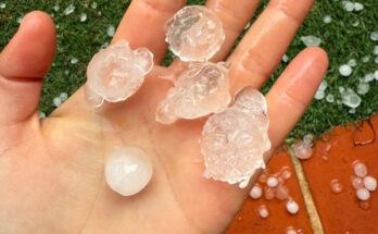 Foto: X/METEO DE LES ILLES