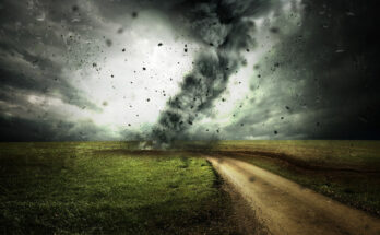 Symbolbild. Foto: pixabay.com