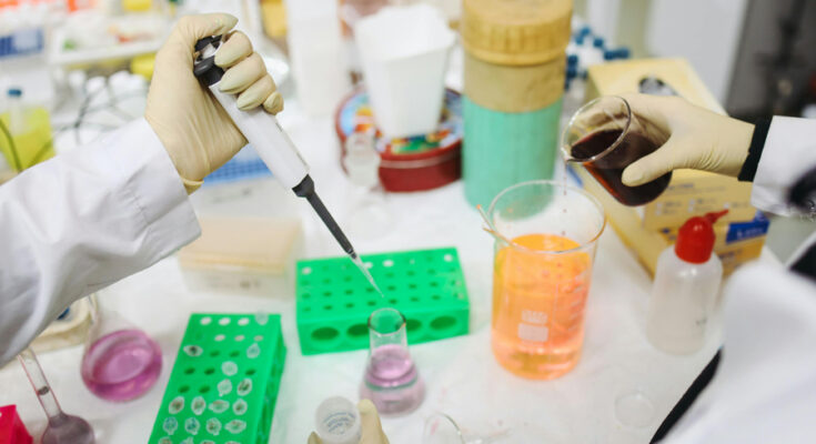 Foto: Polina Tankilevitch/pexels.com