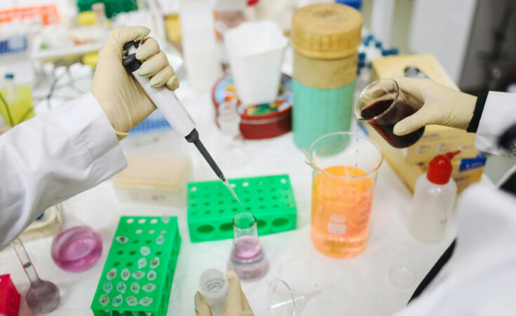 Foto: Polina Tankilevitch/pexels.com