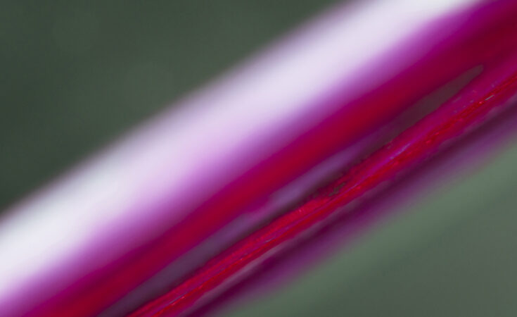 Symbolfoto. Foto: freepik