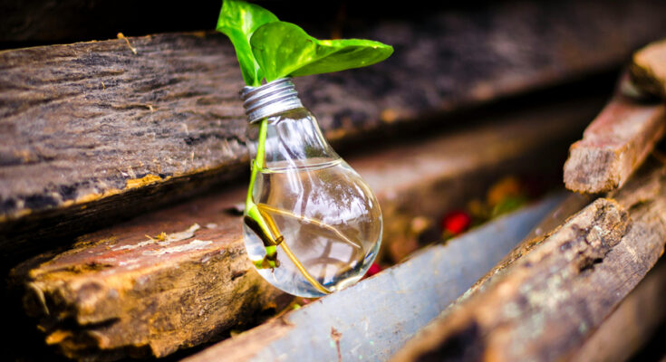 Foto: Bruno Scramgnon/pexels.com