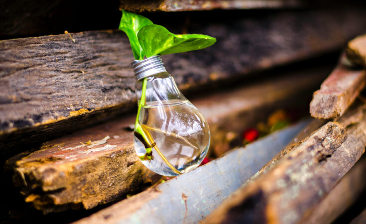 Foto: Bruno Scramgnon/pexels.com