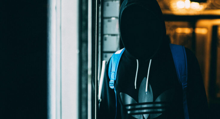 Foto: Kaique Rocha/pexels.com