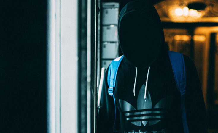 Foto: Kaique Rocha/pexels.com