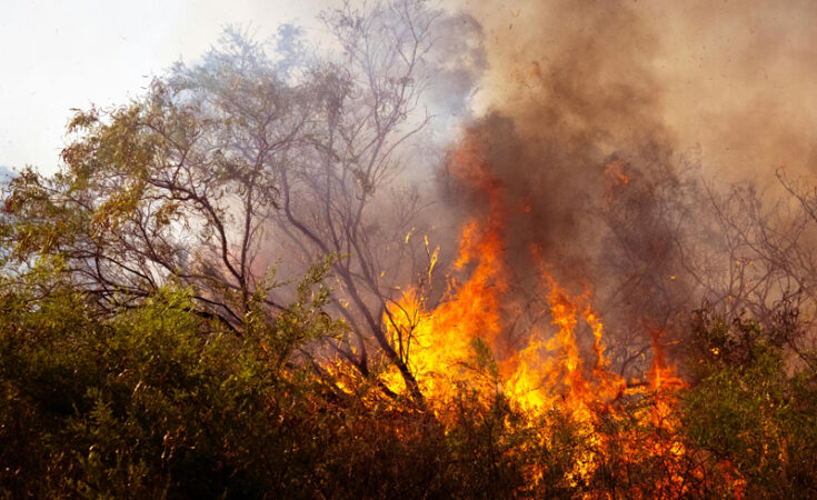 Foto: Eclipse Chasers/pexels.com