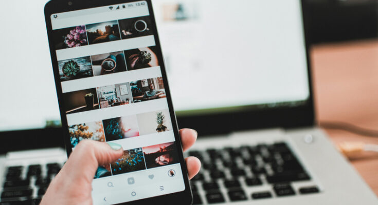 Foto: Lisa from Pexels/pexels.com