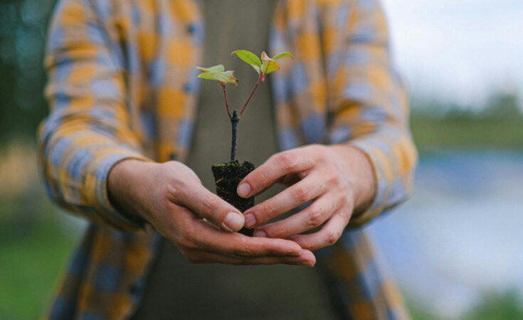 Foto: Anna Shvets/pexels.com