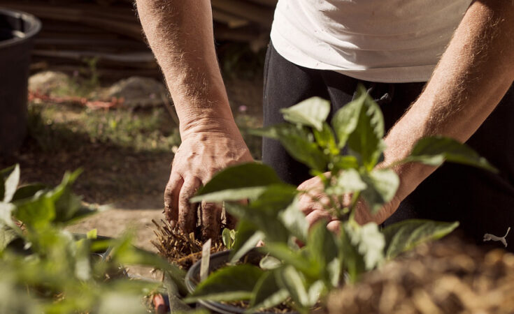 Foto: pixabay.com/Delynn Talley