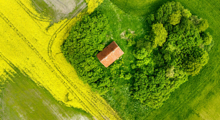 Foto: Marek Piwnicki/pexels.com