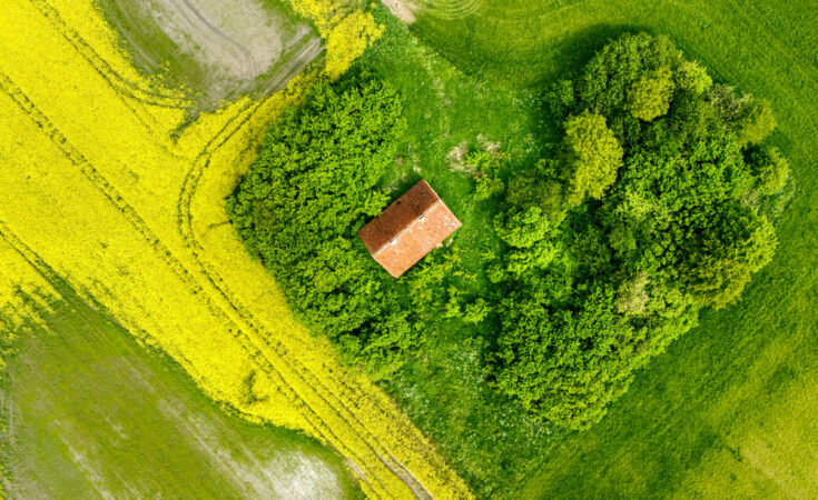 Foto: Marek Piwnicki/pexels.com