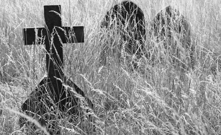 Foto: pixabay.com/Sue Rickhuss