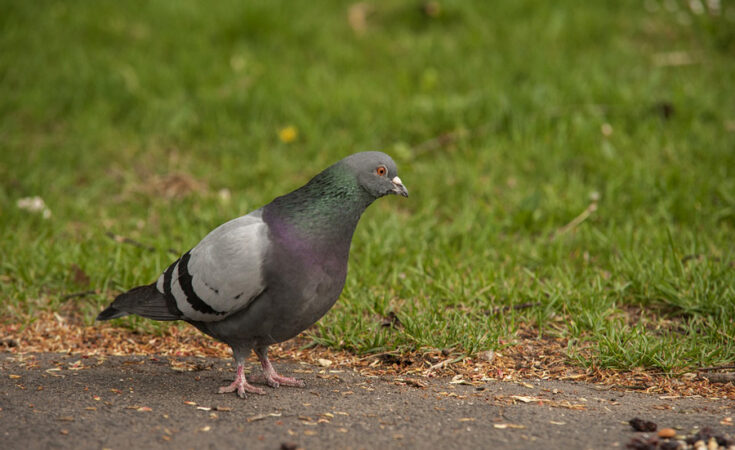 Symbolbild. Foto: pixabay.com/Krzysztof