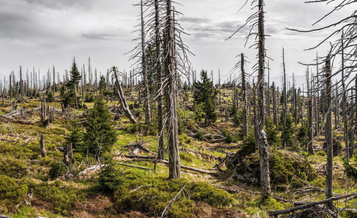 Foto: pixabay.com/Umkreisel-App