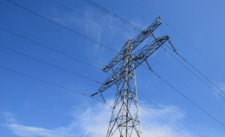 Foto: pixabay.com/Frank Magdelyns