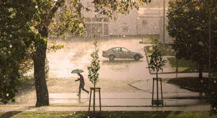 Symbolbild. Foto: pixabay.com/Gundula Vogel