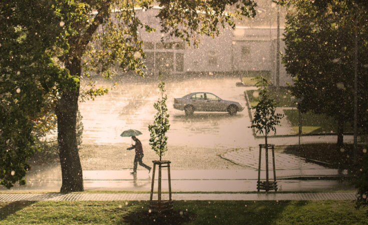 Symbolbild. Foto: pixabay.com/Gundula Vogel