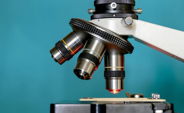 Foto: pixabay.com/Ioannis Karathanasis