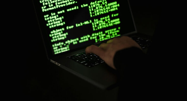 Foto: pexels.com/Sora Shimazaki