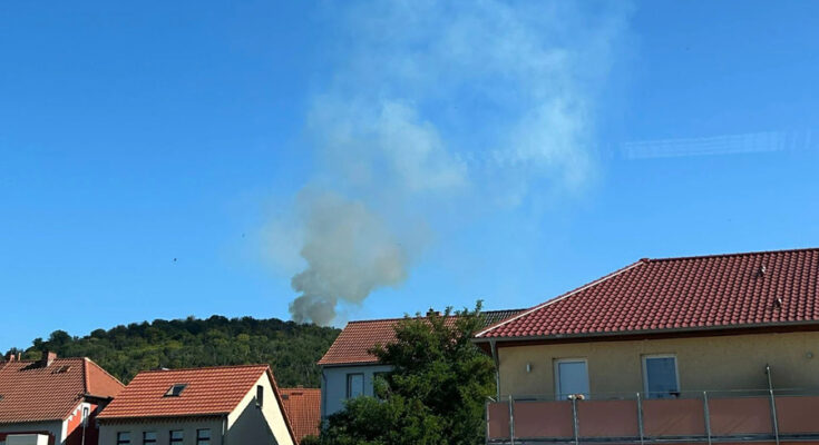 Foto: Feuerwehr Thale