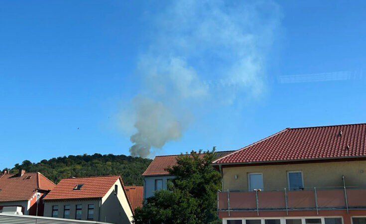 Foto: Feuerwehr Thale