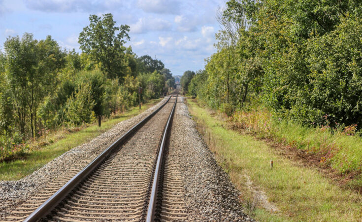 Symbolbild. Foto: pixabay.com/Alexander Fox/PlaNet Fox