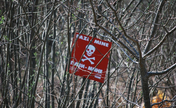 Foto: pixabay.com/Gerald Simon