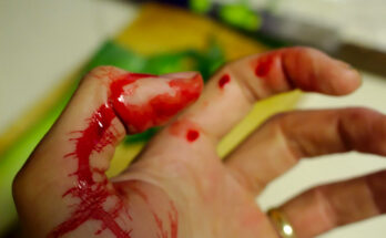 Foto: pixabay.com/Corey Ryan Hanson