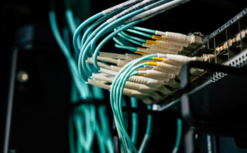 Foto: pexels.com/Brett Sayles