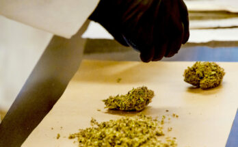 Symbolbild. Foto: pexels.com/Jess Loiterton