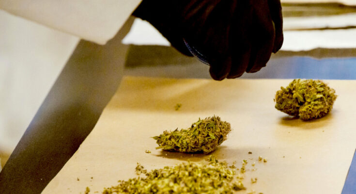 Symbolbild. Foto: pexels.com/Jess Loiterton