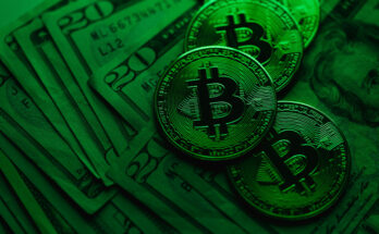 Foto: pexels.com/Karola G