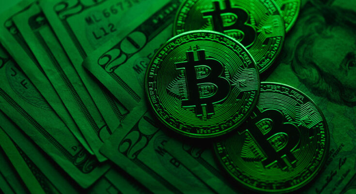 Foto: pexels.com/Karola G