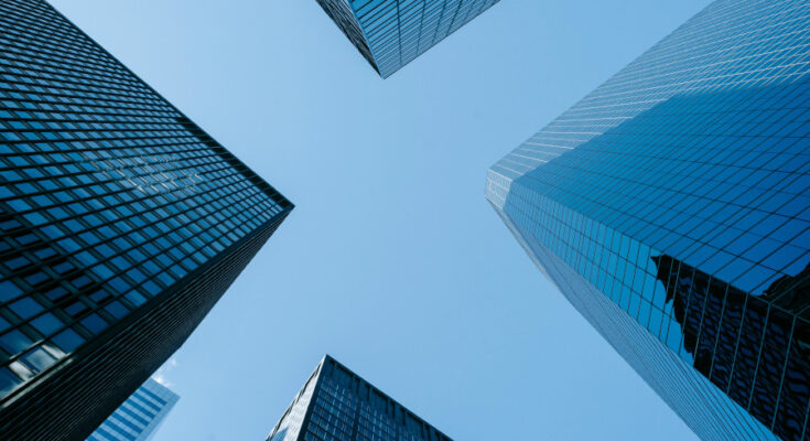 Foto: pexels.com/Laura Tancredi