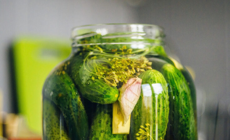 Foto: pixabay.com/Kasjan Farbisz