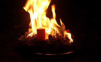 Foto: pixelio.de/A. Holzknecht