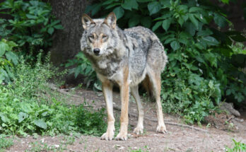 Symbolbild. Foto: pixelio.de/Doris Opitz