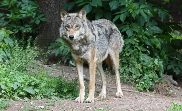 Symbolbild. Foto: pixelio.de/Doris Opitz