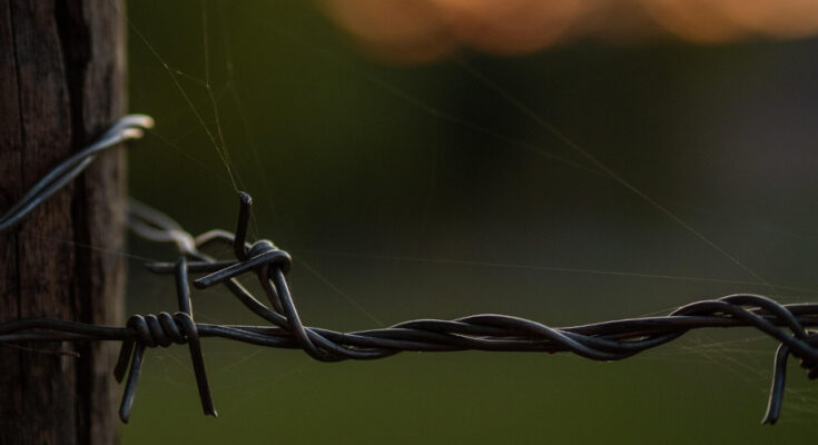 Foto: pixabay.com/Fabian Köhler