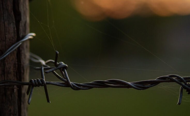 Foto: pixabay.com/Fabian Köhler