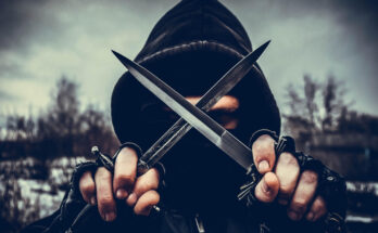 Foto: pixabay.com/Maria Saveleva