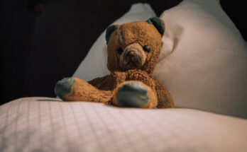 Foto: pexels.com/Bastian Riccardi