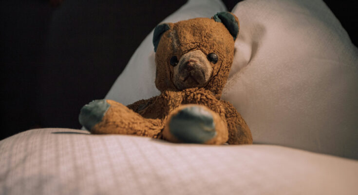 Foto: pexels.com/Bastian Riccardi