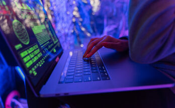 Foto: pexels.com/Antoni Shkraba Studio