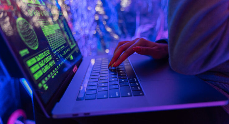 Foto: pexels.com/Antoni Shkraba Studio