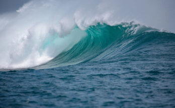 Symbolbild. Foto: pixabay.com/Kanenori