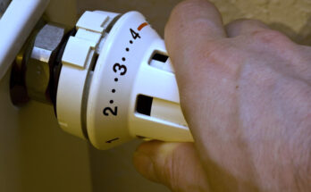 Foto: pixelio.de/Andreas Morlok